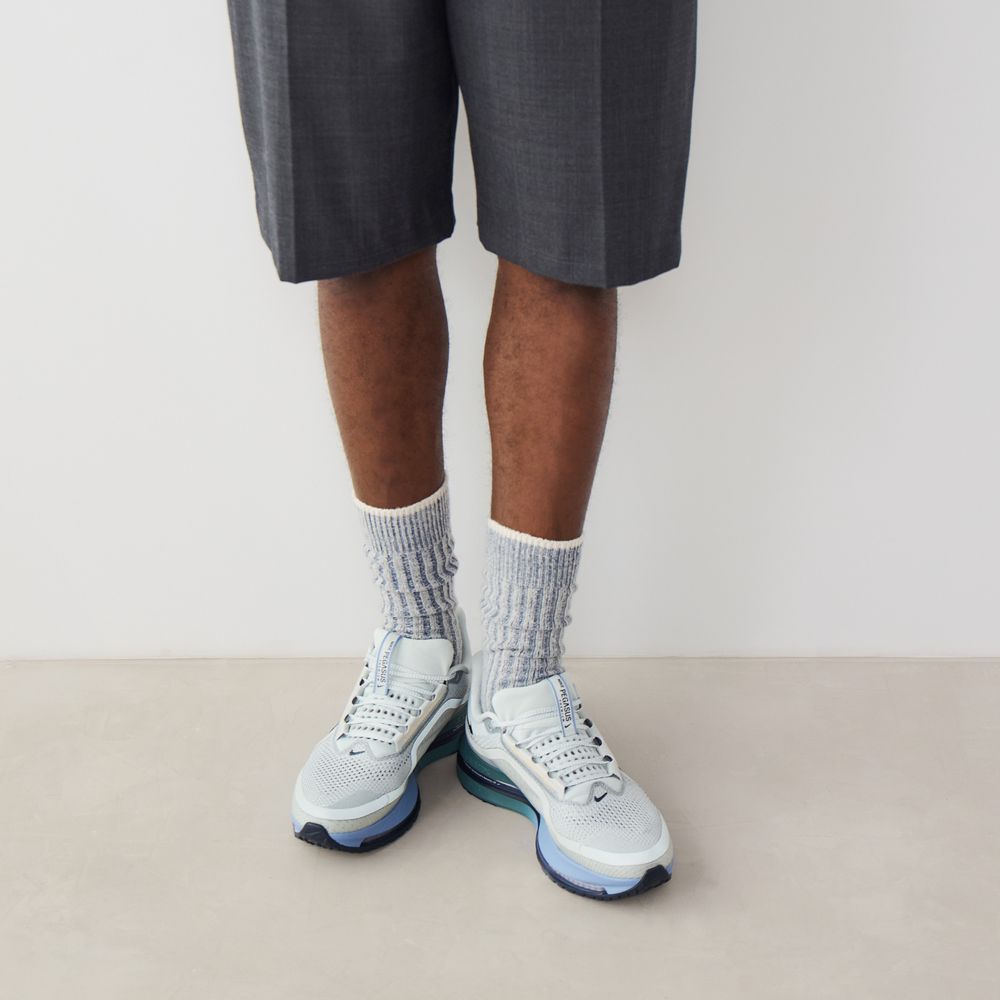 Nike Pegasus Premium - Gris/bleu