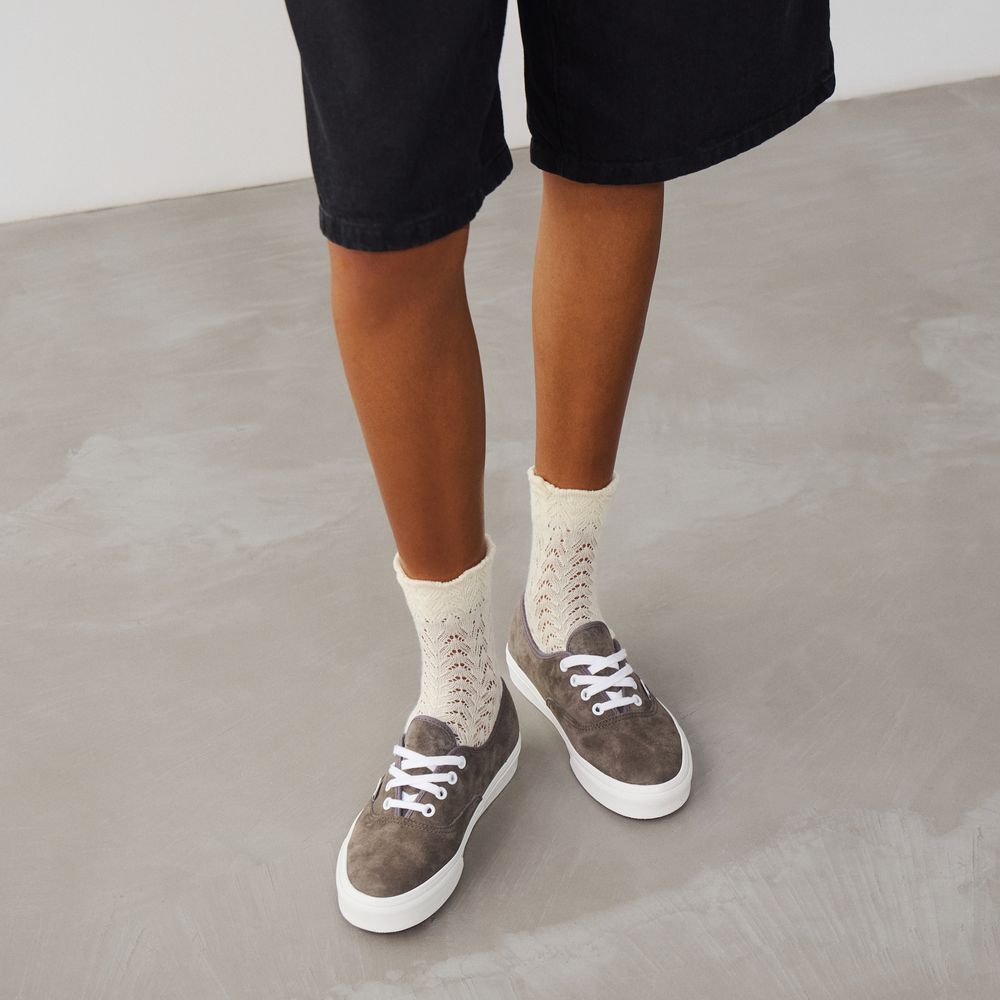 Vans Authentic - Gris
