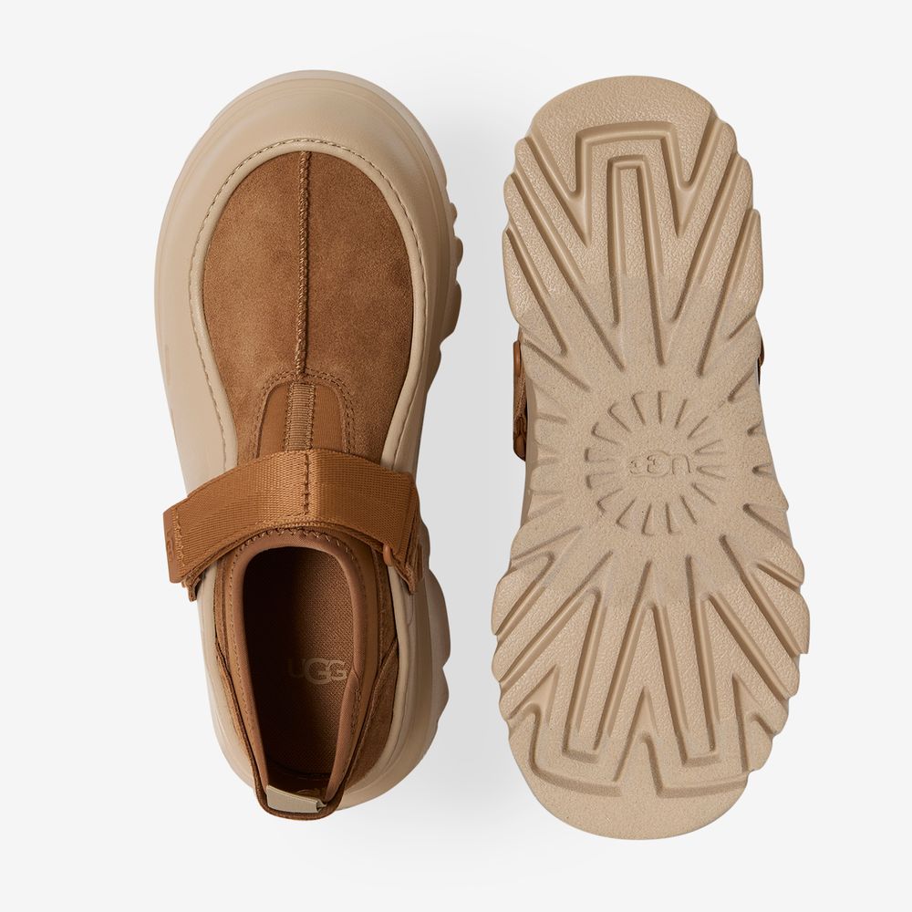 UGG Peakmod Lowcut - Miel