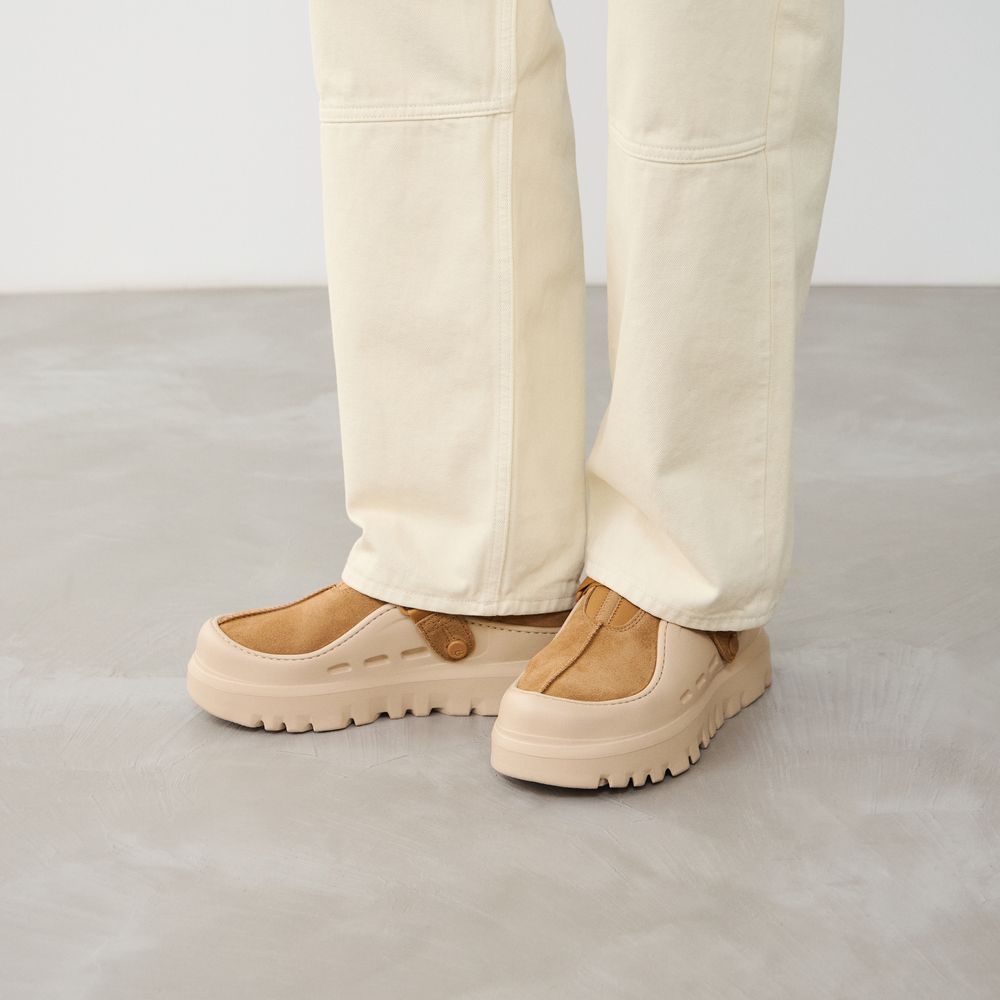 UGG Peakmod Lowcut - Miel