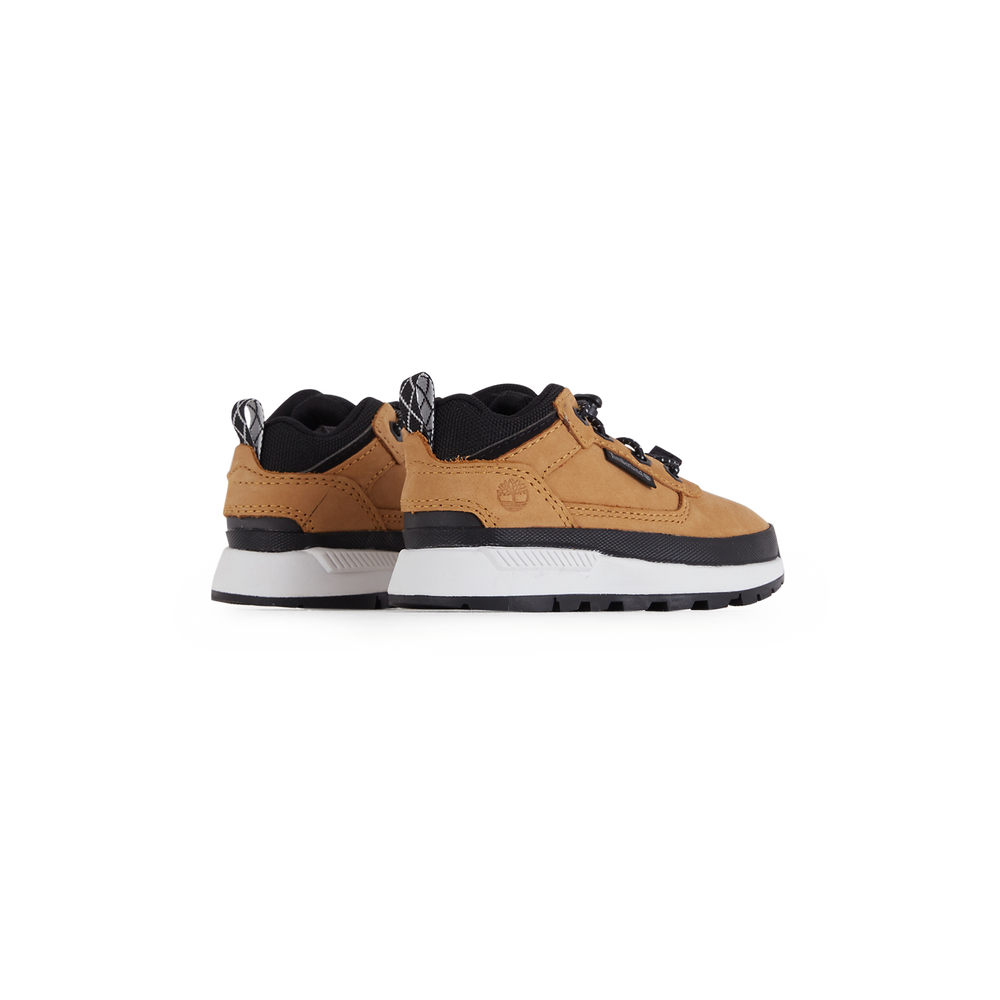 Timberland Field Trekker Low - Miel
