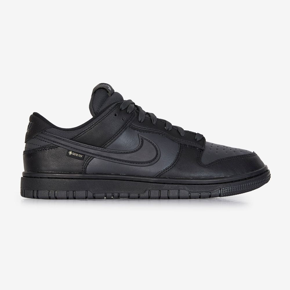 Nike Dunk Low GORE-TEX - Noir/gris