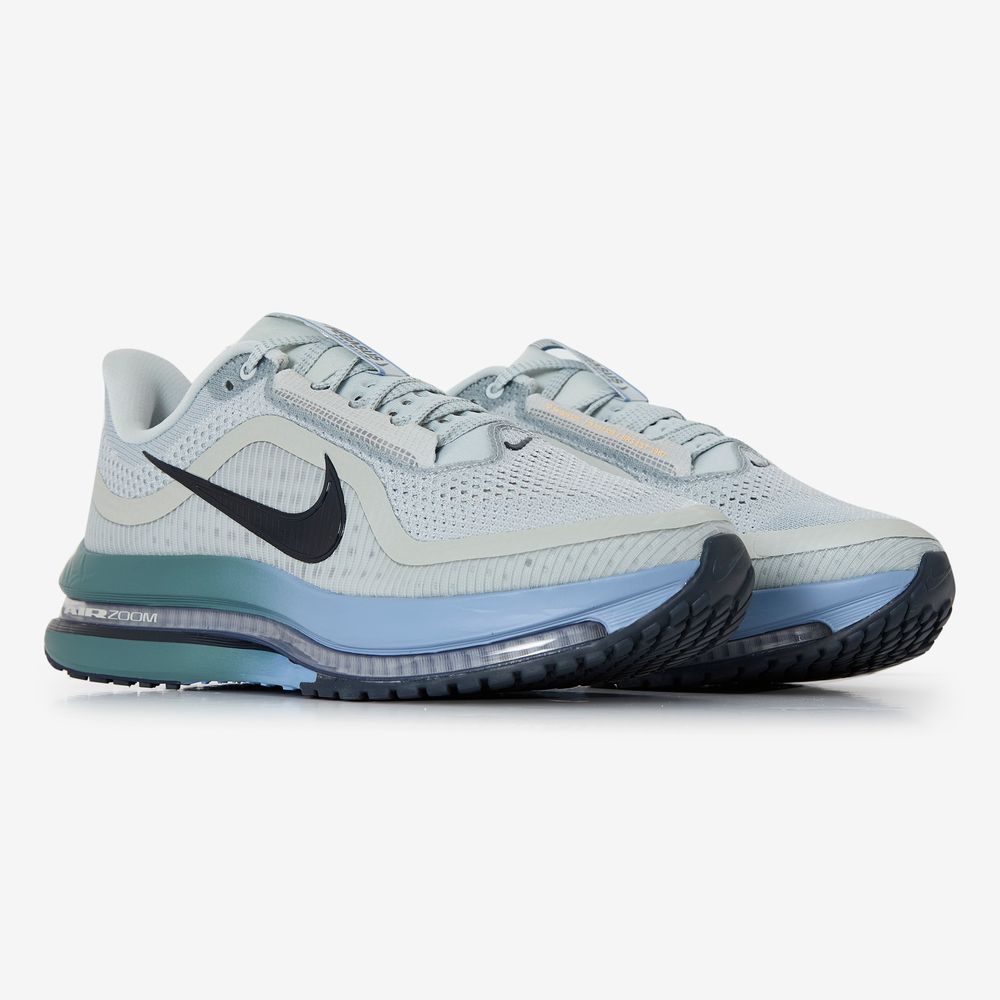 Nike Pegasus Premium - Gris/bleu