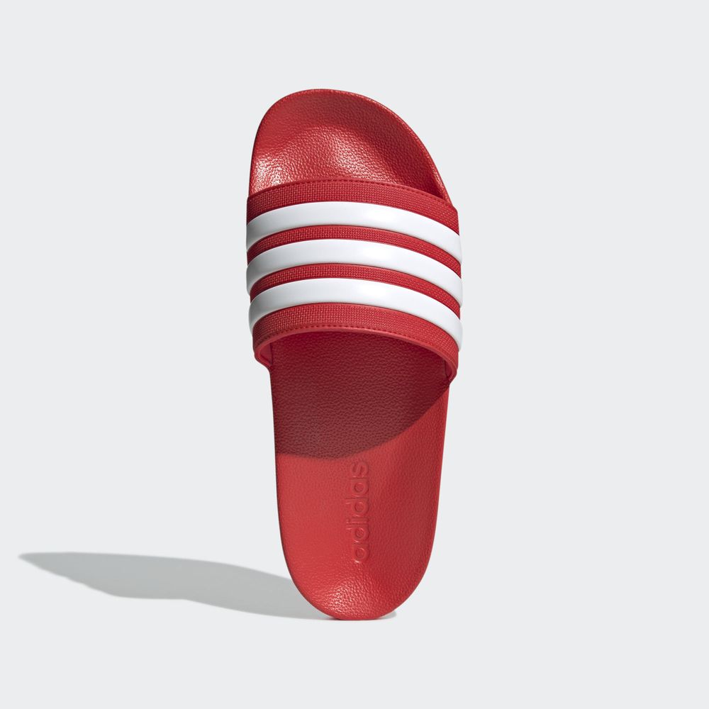 Adidas Sportswear Claquette Adilette Shower - Vivid Red / Cloud White / Vivid Red